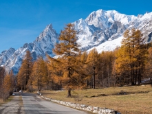 Mountain road in fall. In background larch trees and the snowy peaks of Mont Blanc - Courmayer, Val d'Aosta, Italy, Europe.